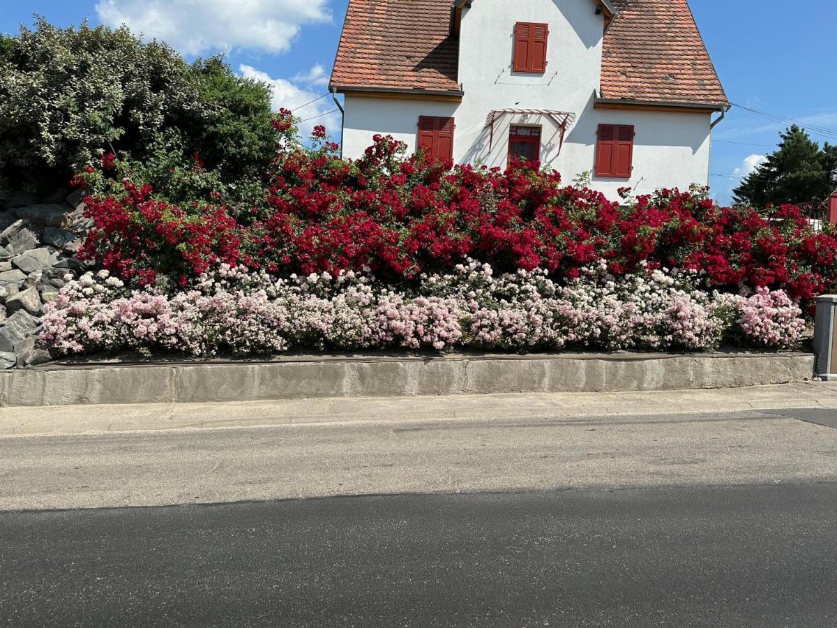 Au Parfum Des Roses Apartment Gunstett Bagian luar foto