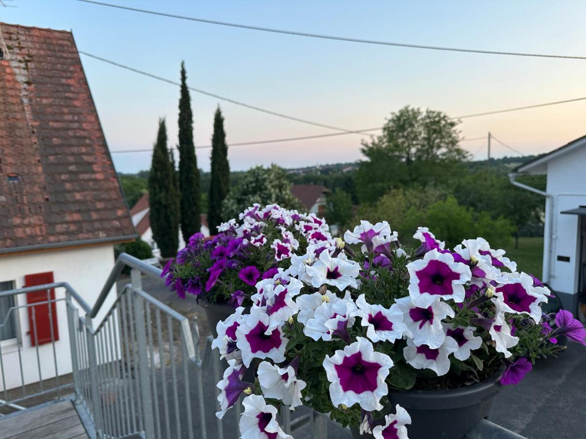 Au Parfum Des Roses Apartment Gunstett Bagian luar foto