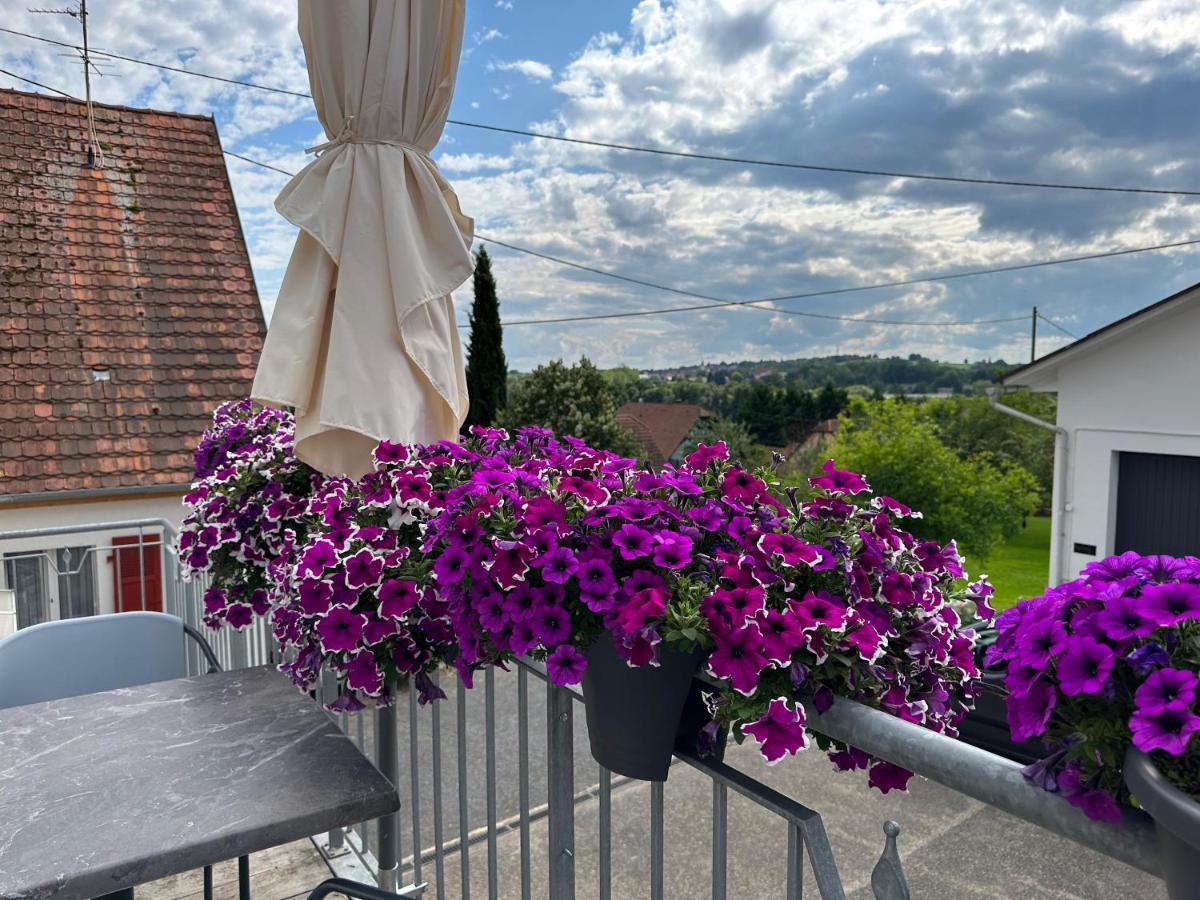 Au Parfum Des Roses Apartment Gunstett Bagian luar foto